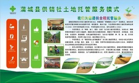 農(nóng)業(yè)托管服務 從概念到實踐的全方位視覺指南與資源寶庫